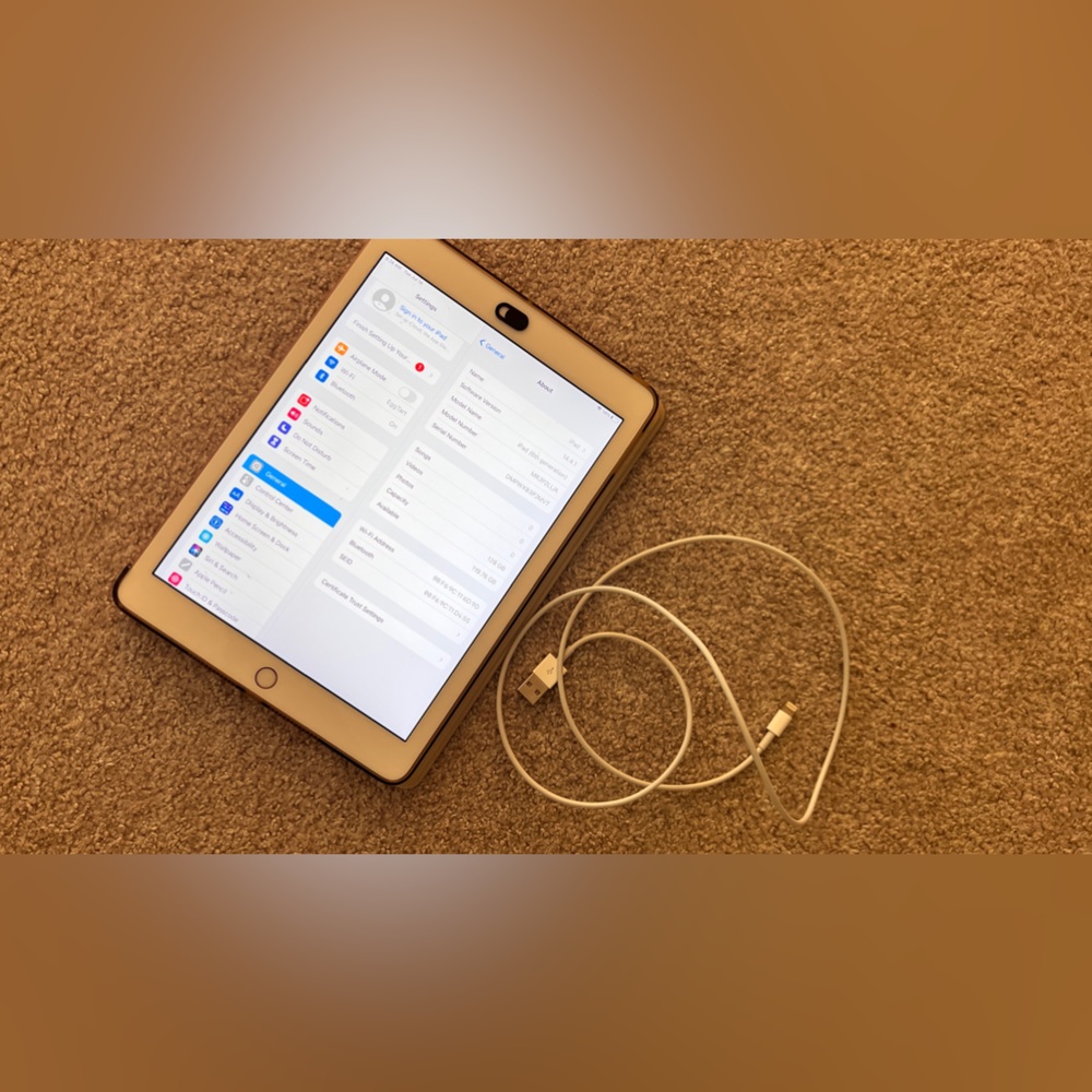 iPad (6th Generation) with 128 GB (Rose Gold)